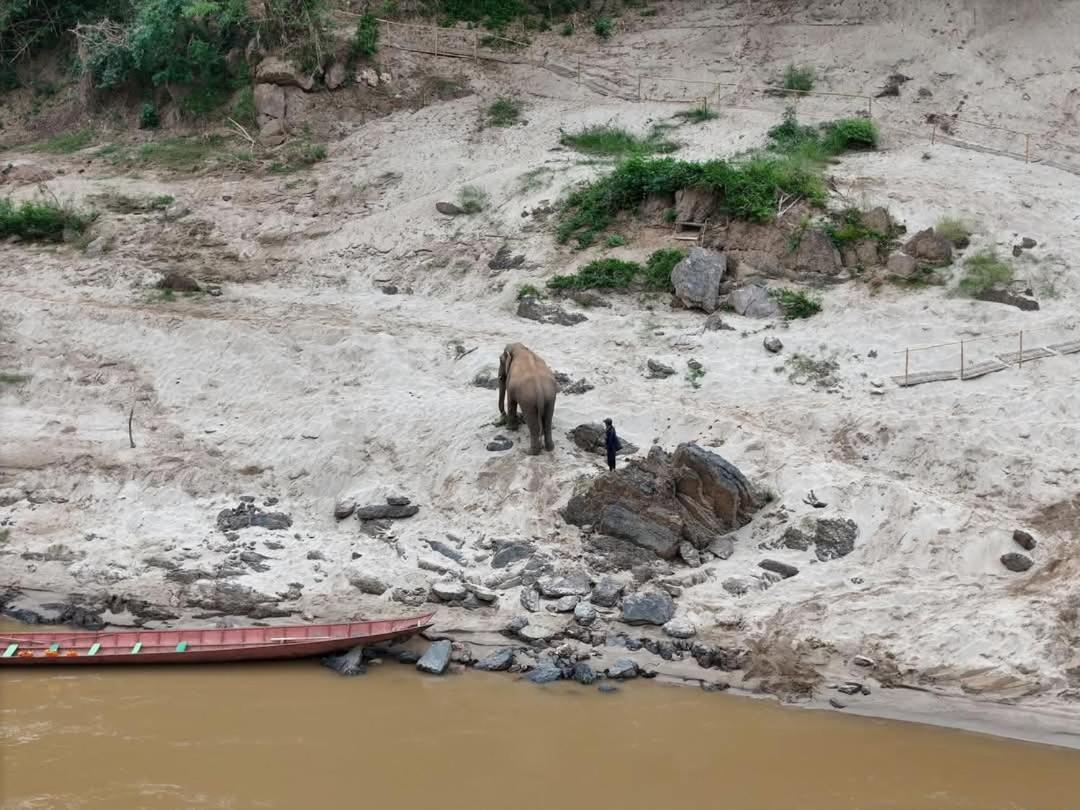 דירות Mekong Backpackers Muang Pakbèng מראה חיצוני תמונה